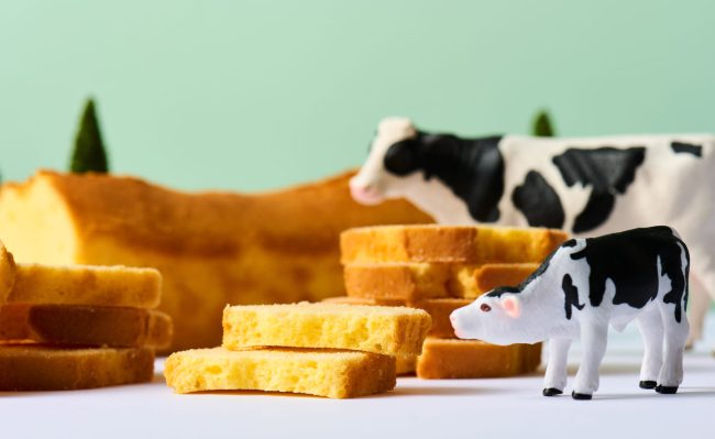 牛乳屋さんの牛乳スイーツ、あさぎり牛乳がオープンいたします